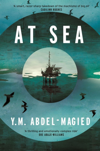 At Sea 9781837264032 Hardback