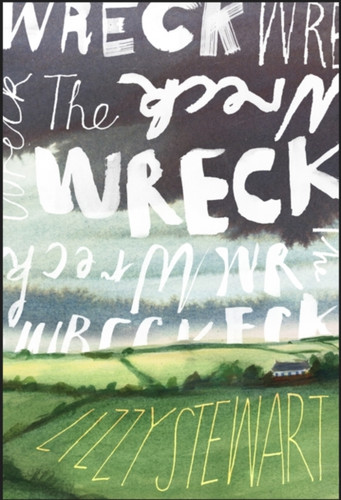 The Wreck 9781787335318 Hardback