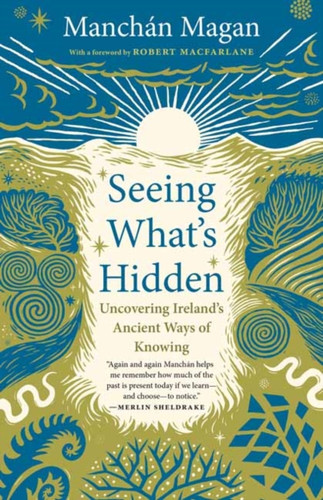 Seeing What's Hidden 9781645025139 Paperback