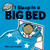 I Sleep in a Big Bed 9781452162904 Hardback
