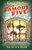 Famous Five: Five Get Into Trouble 9781444935097 Paperback