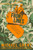 Front Lines 9781405273824 Paperback