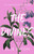 The Divines 9781529340129 Hardback