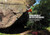 Churnet Bouldering 9781910240335 Paperback