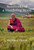 Notebooks of a Wandering Monk 9780262048293
