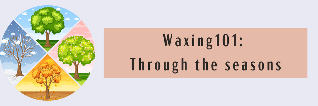 Waxing 101: Through the Seasons