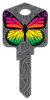 KL9-RAINBOW BUTTERFLY