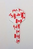 566- CANADIAN FLAG
