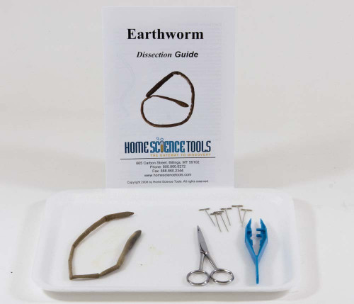 Worm Dissection Kit