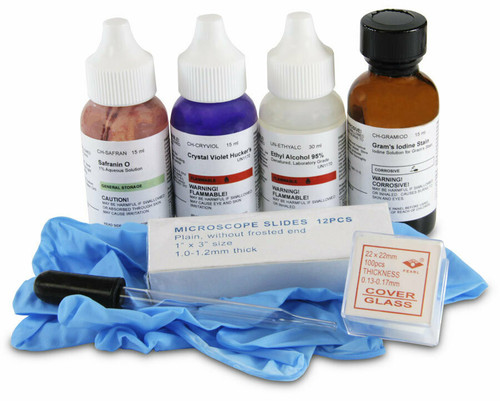 gram stain kit materials