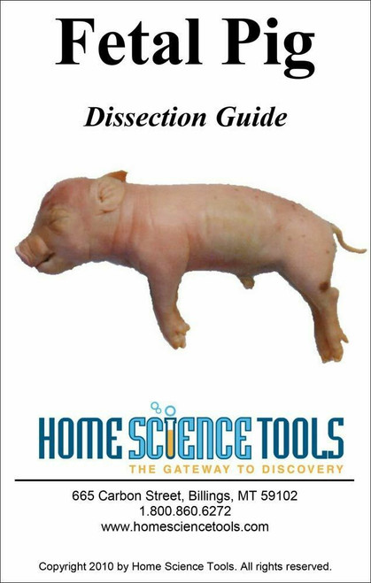 Fetal Pig Dissection Guide, basic