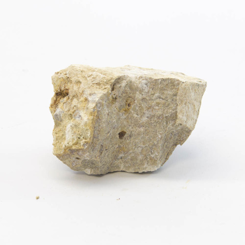 Limestone, fossiliferous, large