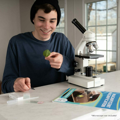 Magnificent Magnification (with Home LED Microscope) Magnificent Magnification (with Home LED Microscope)