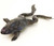 Bullfrog Specimen, 5"-6", Double Injected Bullfrog Specimen, 5"-6", Double Injected