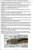 Earthworm Dissection Guide