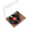 Rega - Planar 1 Plus - Turntable