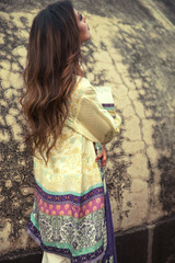 Zara Shahjahan Silk - Mehr