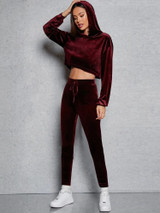 Fifth Avenue Womens Velvet Crop Hoodie and Jogger Pants Co- Ord Set FAVELC2