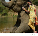 Five Star Classic Lawn 2 Piece Design 314-C