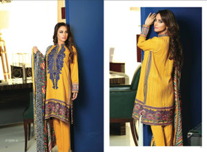Nation Dhanak Winter Collection - 559A