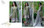 Orient Winter Khaddar Collection - Romantic - OTL-16-246-B