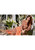 Rashid Tulip Suiting Vol 2-619-C