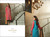 Nation Dhanak Winter Collection - 566A