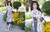 Sitara Universal Designer Collection Design 174-C