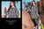 Five Star Black and White Collection Design D-12