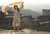 Five Star Swiss Voile Collection 2016 Design 173-C