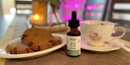 Vegan Molasses Cookie Recipe with Receptra CBD