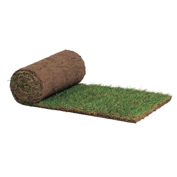 Landscaping Turf Listers Timber