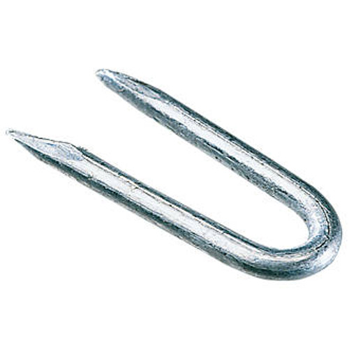 0.5 KG GALVD STAPLES 25MM