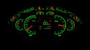 1955- 56 Chevy Car HDX Instruments Illumination Color Emerald