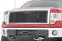 Ford Mesh Grille (09-14 F-150) displayed on a vehicle