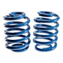 2001-2006 Chevy Avalanche/Suburban 5 Inch Rear Lowering Coil Springs