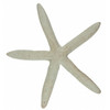 Antiqued White Starfish Decoration