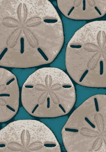 Aqua Color Fine Designer Rugs