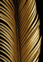 Tropical Palm Leaf High Quality Rugs