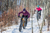 Your Guide to Biking in Winter: Everything You Need to Know to Ride Through the Cold