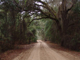 Bike Trail Travels: Florida