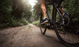Strengthening Exercises for Cyclists: Build Power On and Off the Bike