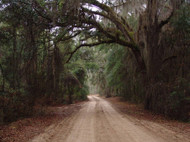 Bike Trail Travels: Florida