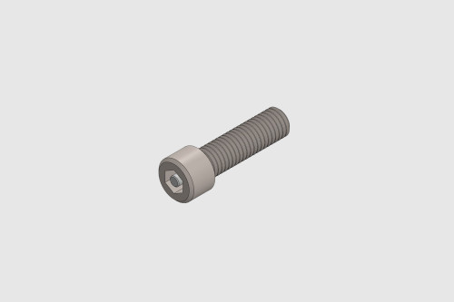 Security Bolt
