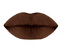 Cinnamon Matte Lip Plumper