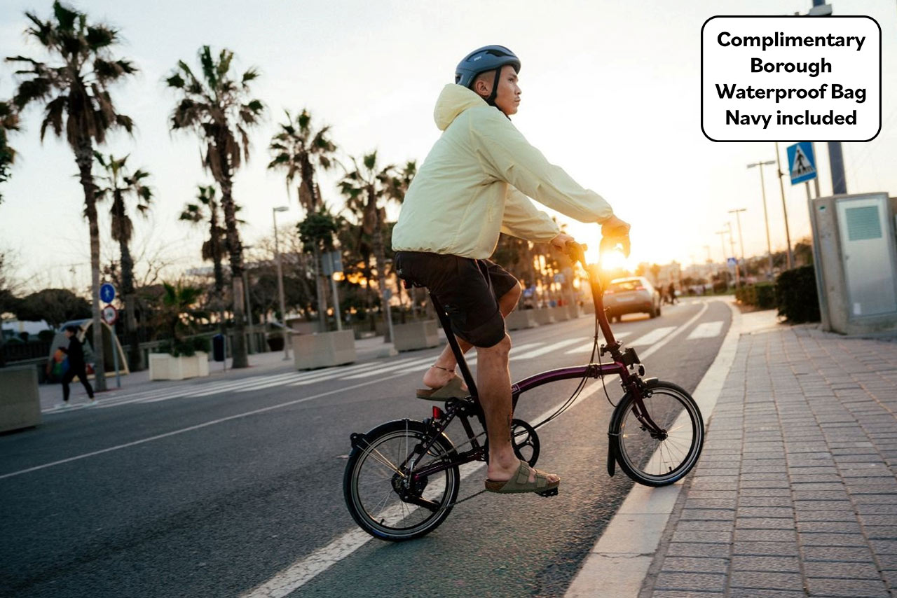 C Line - 12-speed Amethyst Lacquer Mid, 