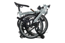 P Line with Roller Frame - 12-velocidades