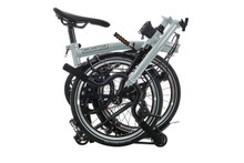 P Line with Roller Frame - 12-velocidades