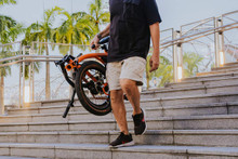 G Line with Roller Frame - 8 Speed