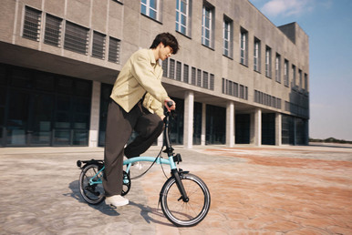 P Line with Roller Rack - 4-speed | Brompton 日本